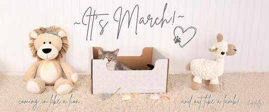 March to the Meow! Freebies, Fun & Feline Celebrations Inside! 🥳🎉