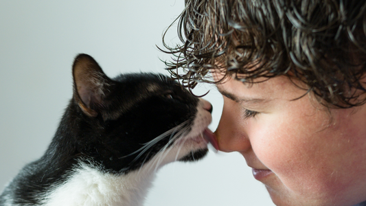 Why Do Cats Lick You?
