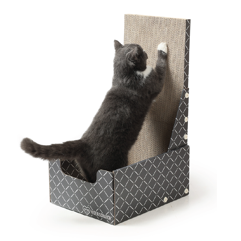 Hide & Scratch Vertical Cat Scratcher Box (Case Pack of 5)