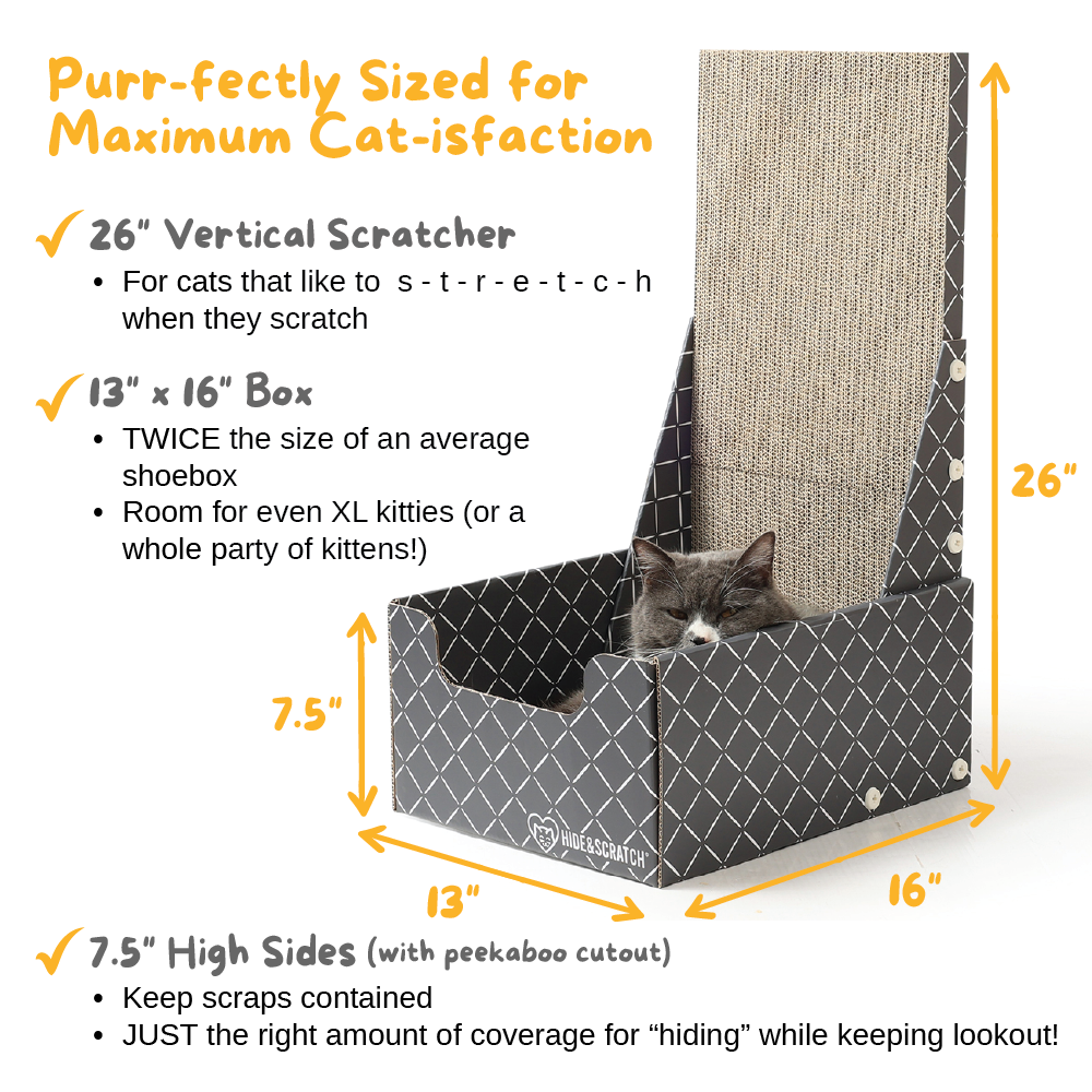Hide & Scratch Vertical Cat Scratcher Box (Case Pack of 5)