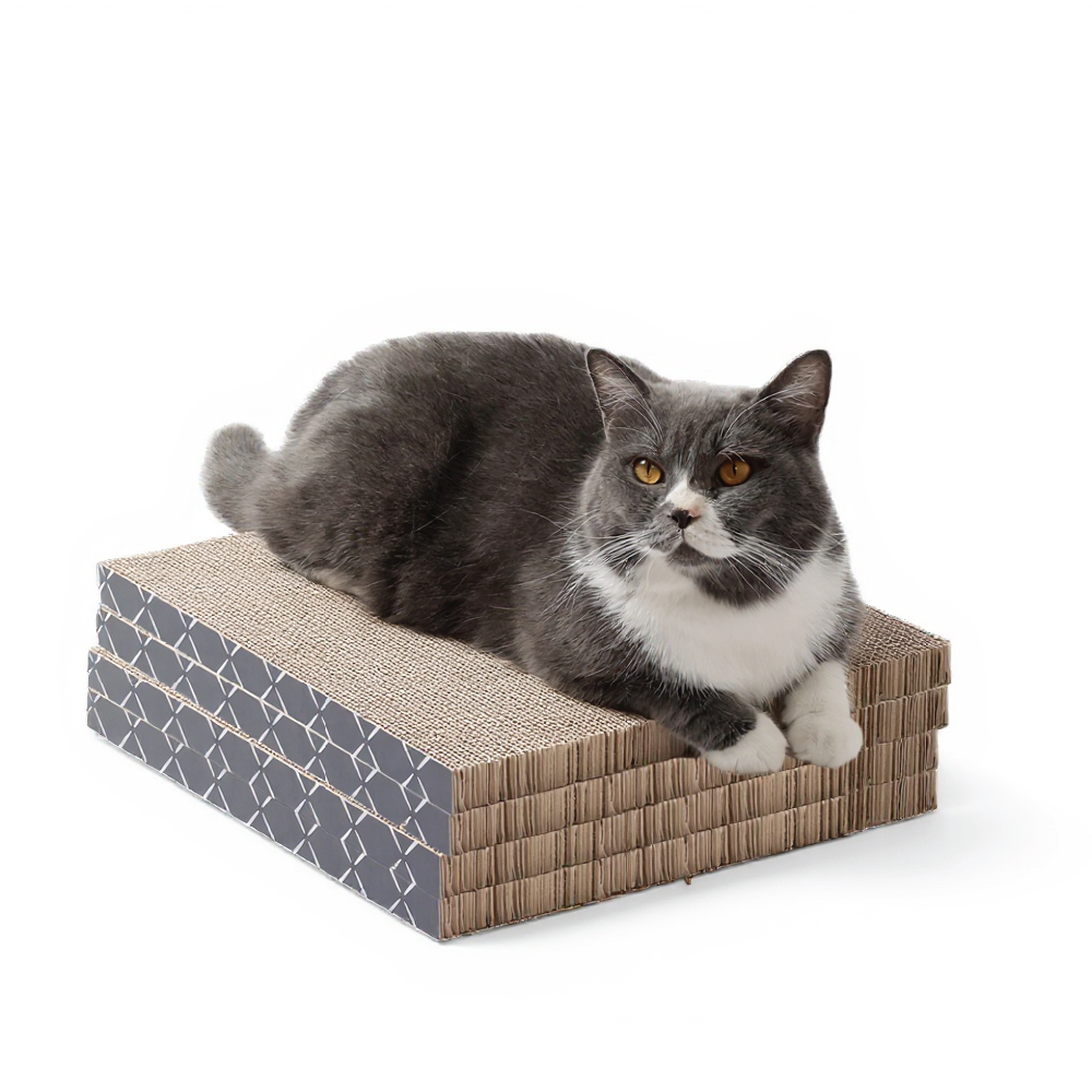 Hide & Scratch 4PC Scratch Pad Refills (Case Pack)