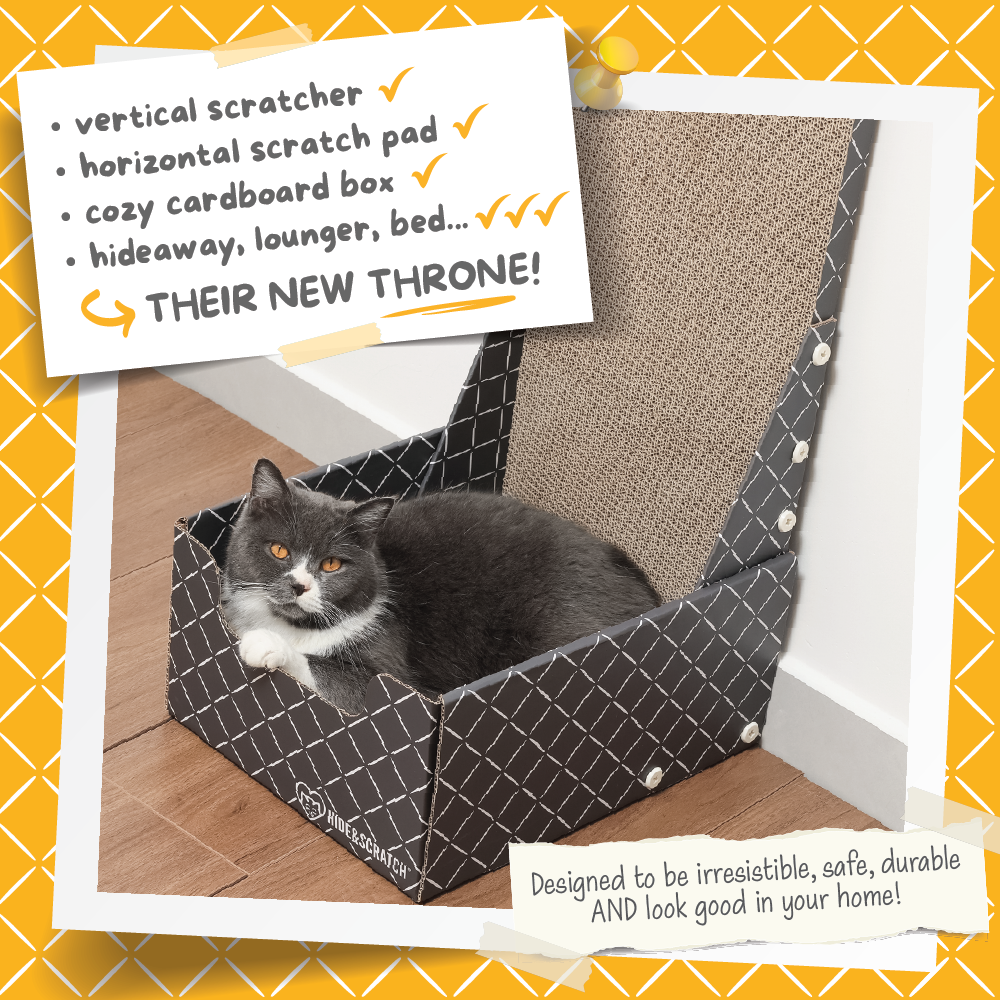 Hide & Scratch Vertical Cat Scratcher Box (Case Pack of 5)
