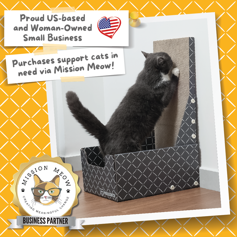 Hide & Scratch Vertical Cat Scratcher Box (Case Pack of 5)