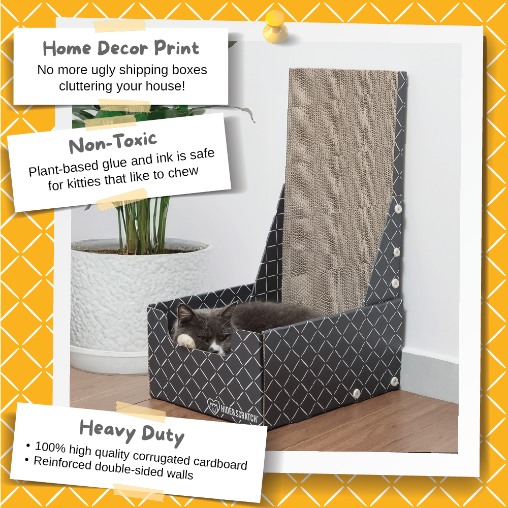 Hide & Scratch Vertical Cat Scratcher Box (Case Pack of 5)