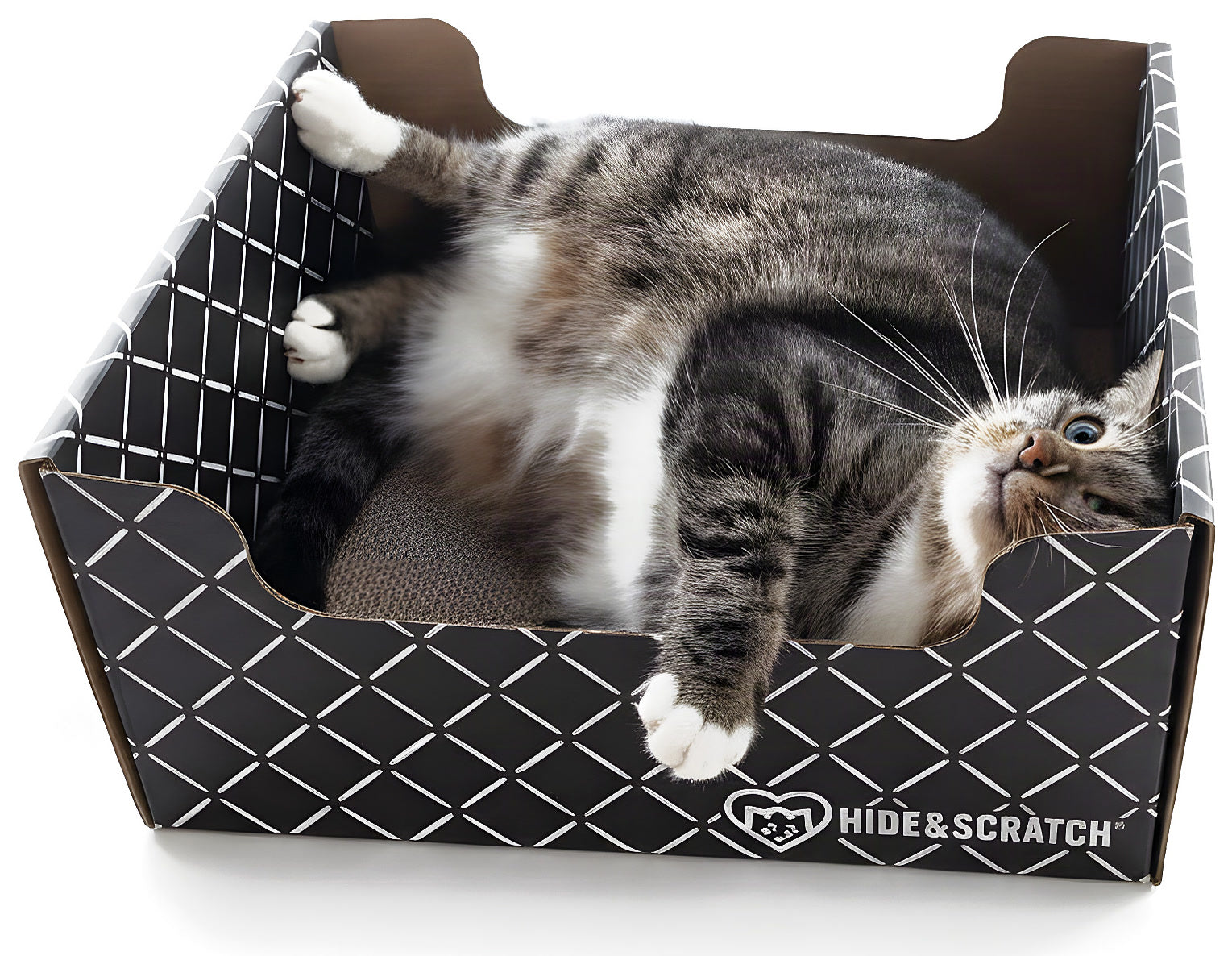 A tabby cat sprawled on its back in a Hide & Scratch box, thoroughly relaxed