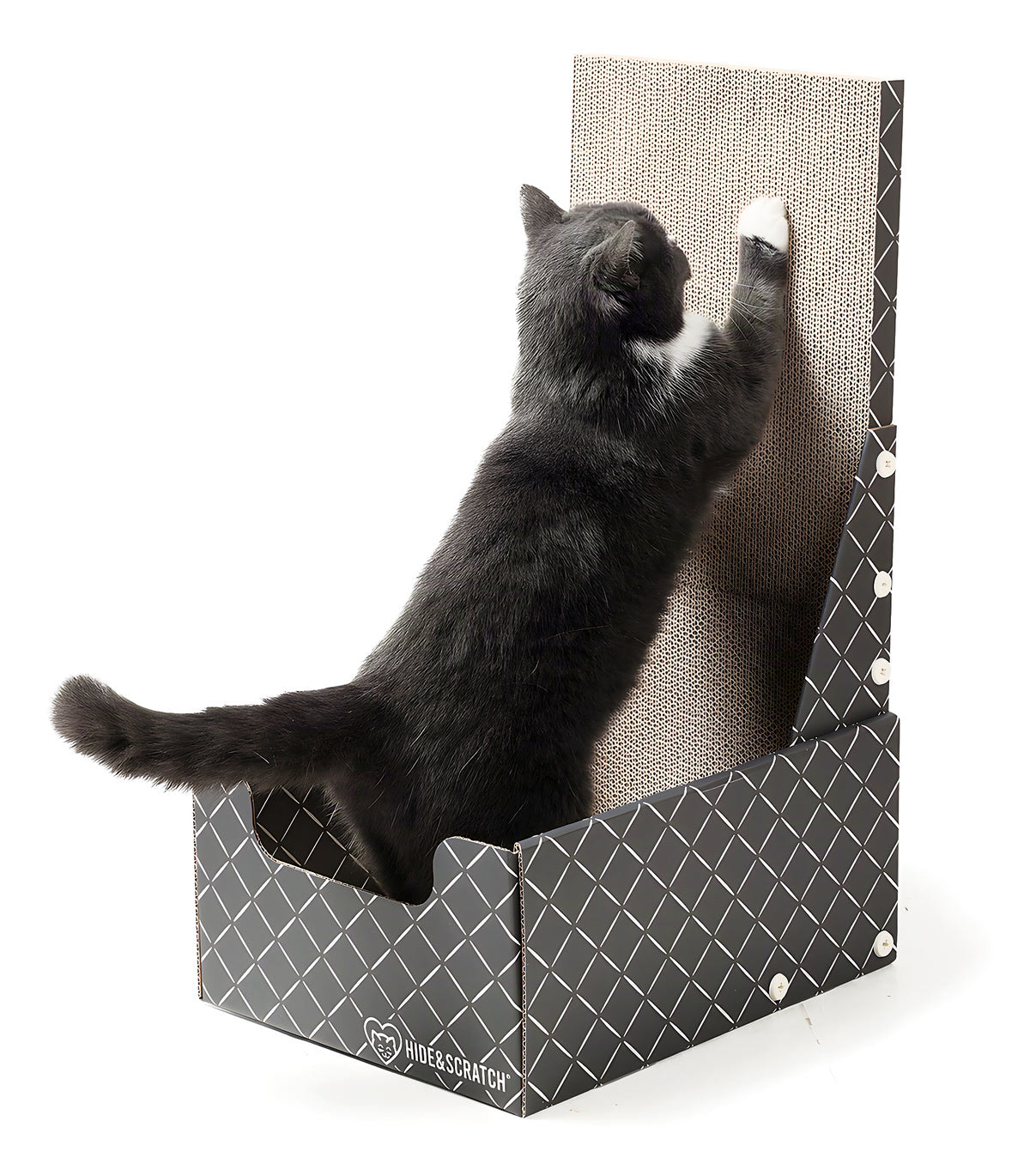 A gray cat stretching up to scratch the Vertical Hide & Scratch scratcher