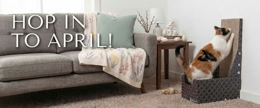 April 2026 Newsletter — Hide and Scratch