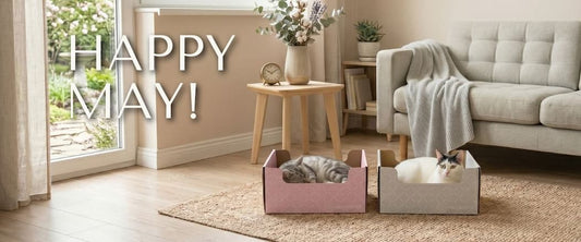 May 2026 Newsletter — Hide and Scratch