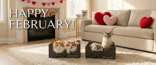 February at Hide & Scratch — All About Love 💌 🐾