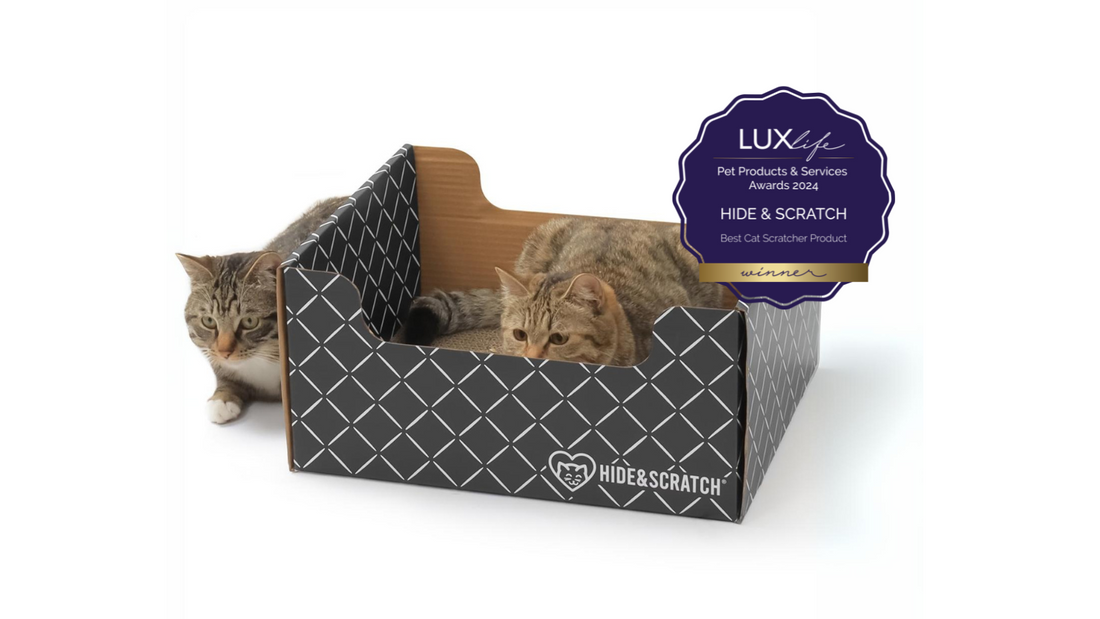 Hide & Scratch Wins Prestigious "Best Cat Scratcher Product 2024" Award!