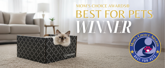 🏆 Hide & Scratch Wins Mom’s Choice Gold Award: Best for Pets!