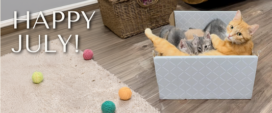 July 2026: Kitten Season Didn't End in June — Foster Kittens, Podcast + 24 Birthday Cats