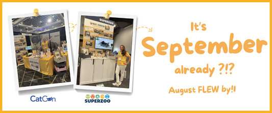 Hide & Scratch Went BIG in August… Now Let’s Celebrate September!