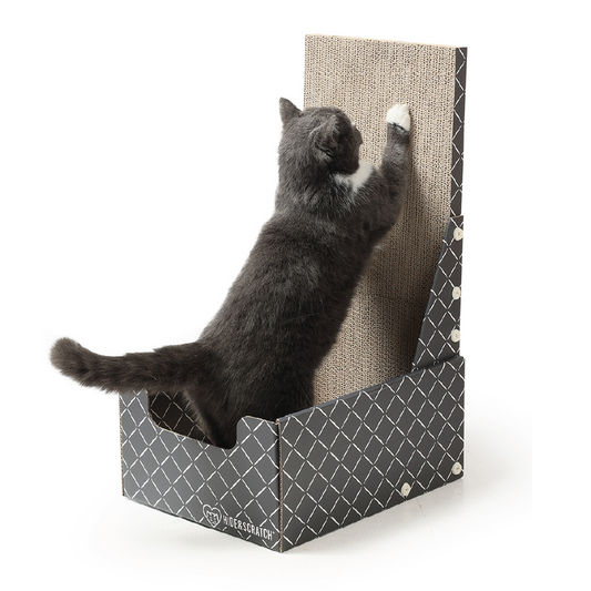 Hide & Scratch Vertical Cat Scratcher Box (Case Pack of 5)