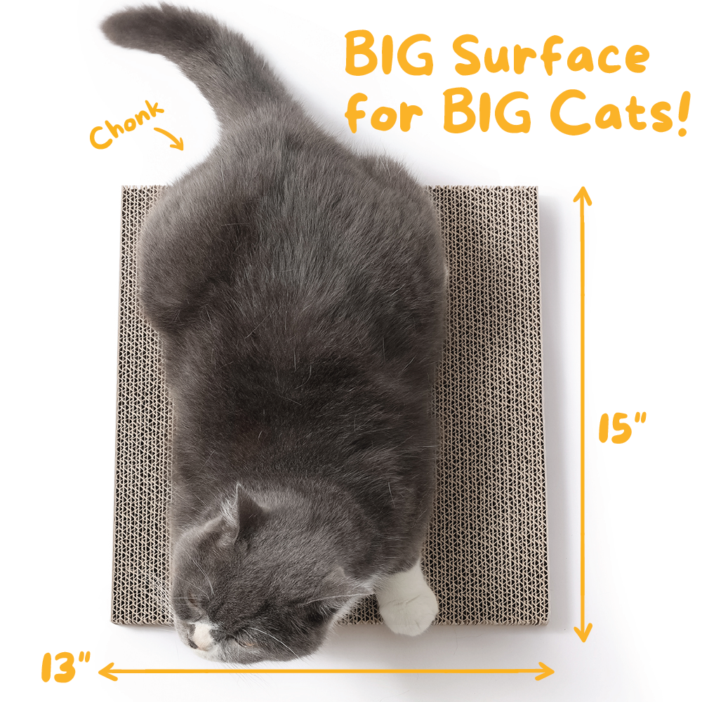 Scratch Pad Refills for Hide & Scratch Box (or use on their own)