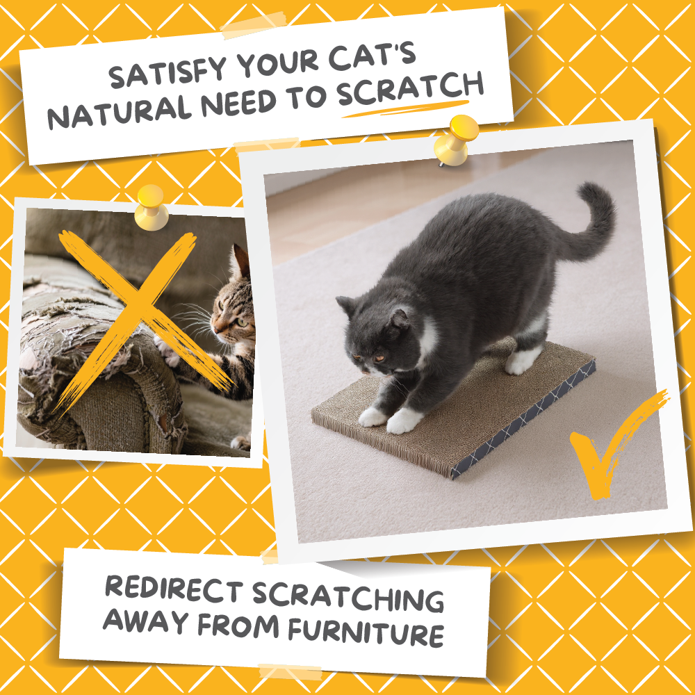 Recambios Hide &amp; Scratch (2 unidades, 14 unidades)