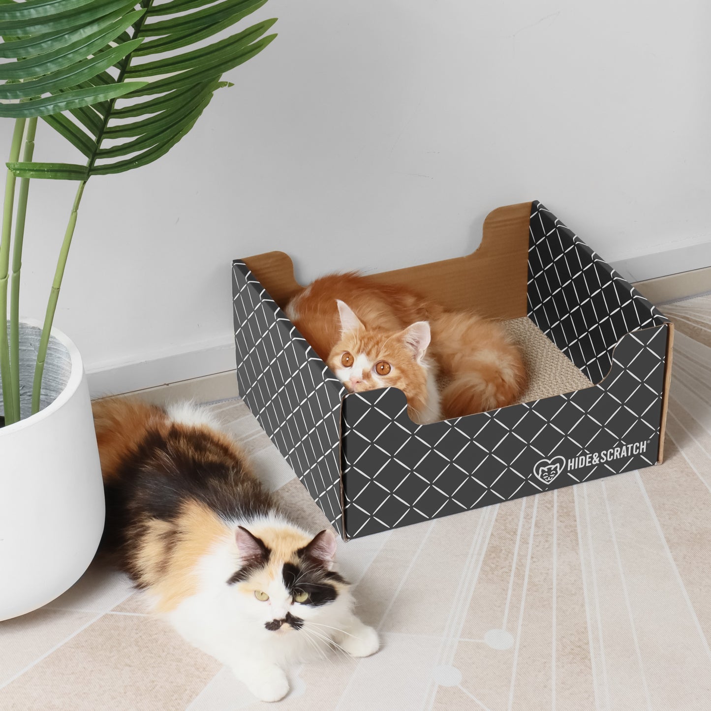 Hide & Scratch Extra-Large Cat Scratcher Box