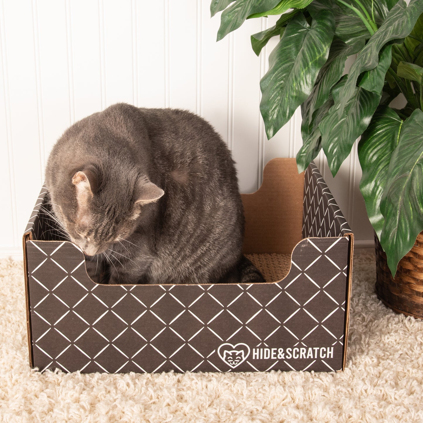 Hide & Scratch Extra-Large Cat Scratcher Box