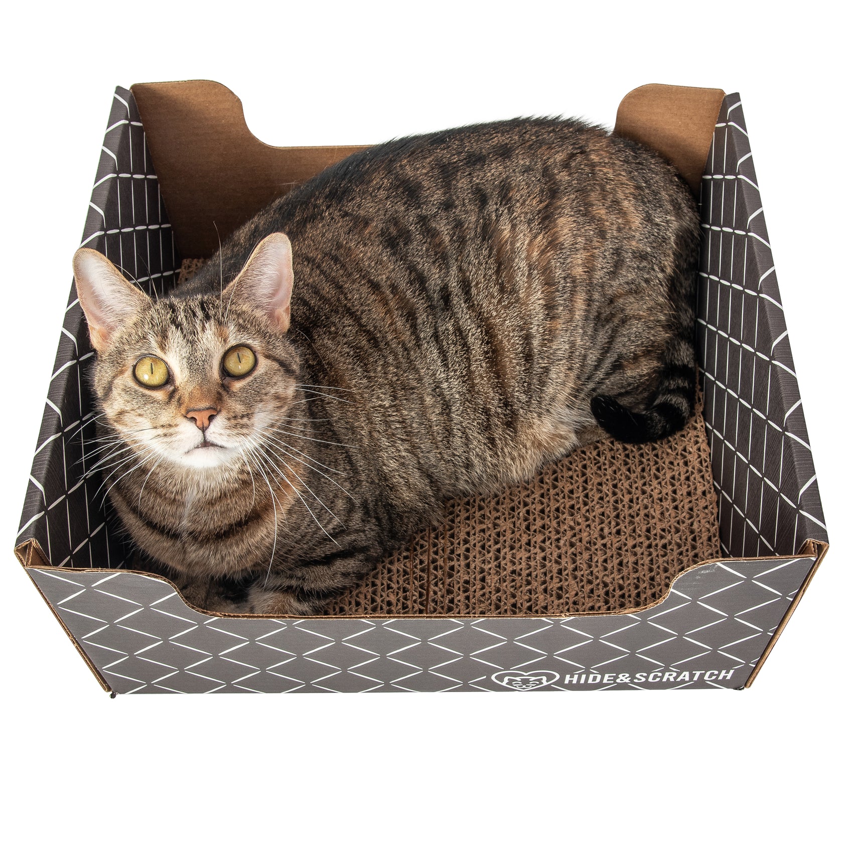 Hide & Scratch ExtraLarge Cat Scratcher Box