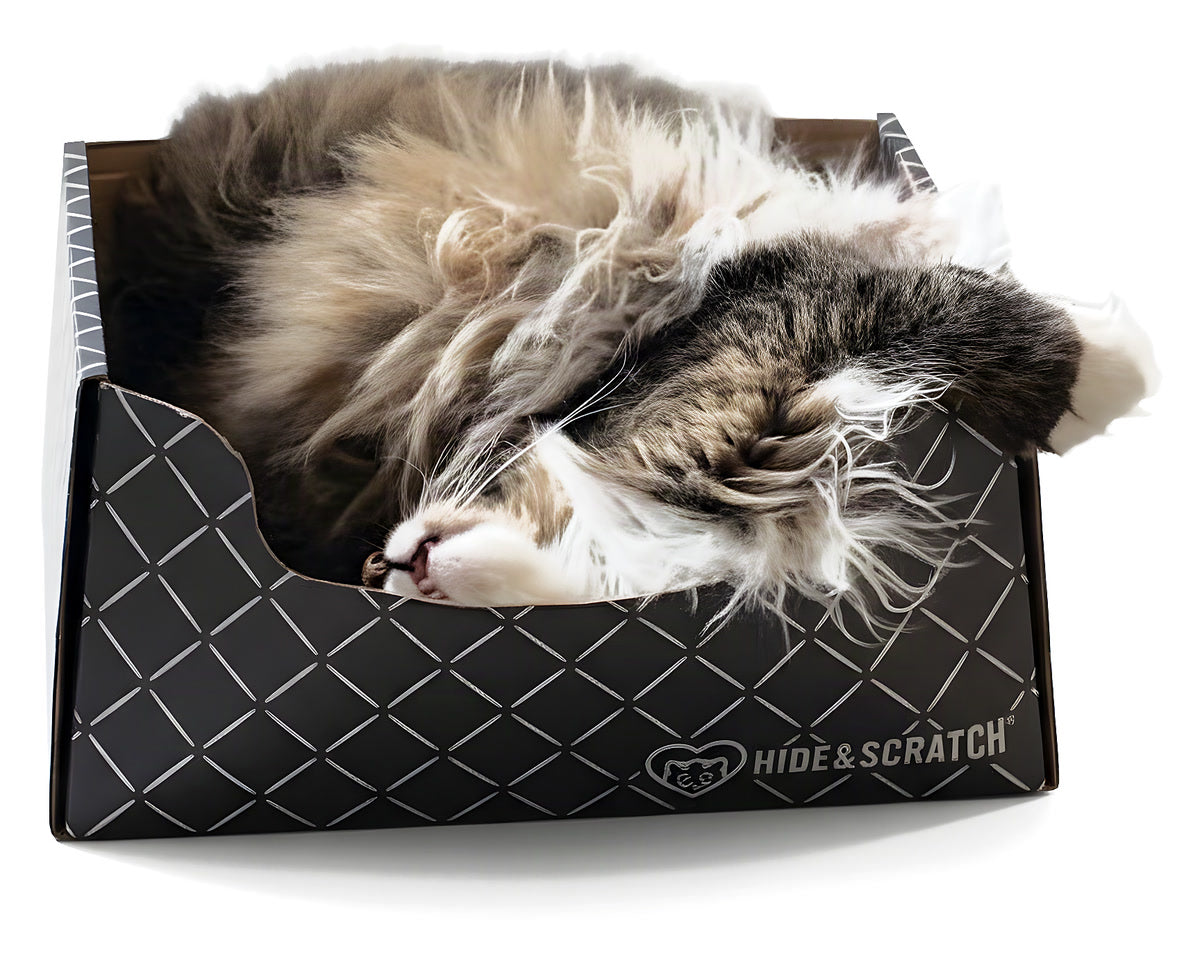 A long-haired tabby asleep in a Hide & Scratch box