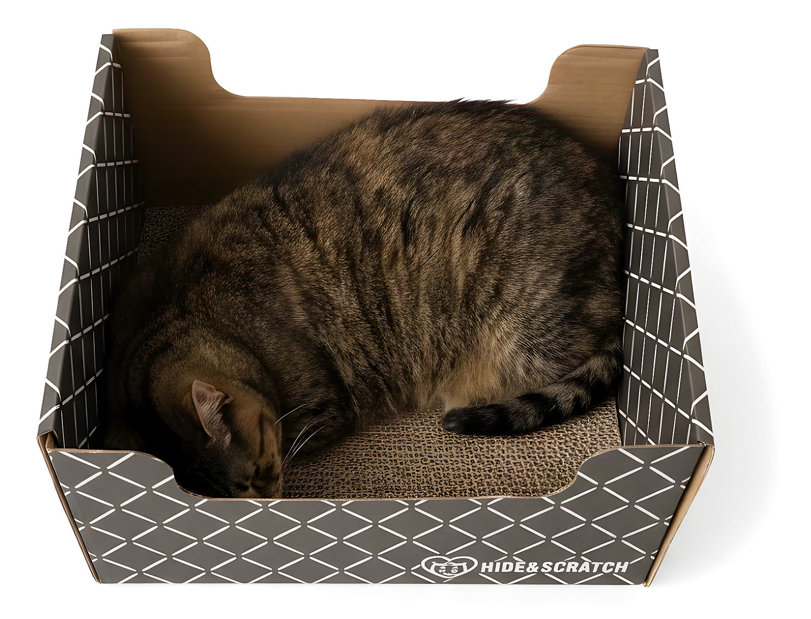 A tabby cat asleep in a Hide & Scratch box, with seven design details labeled